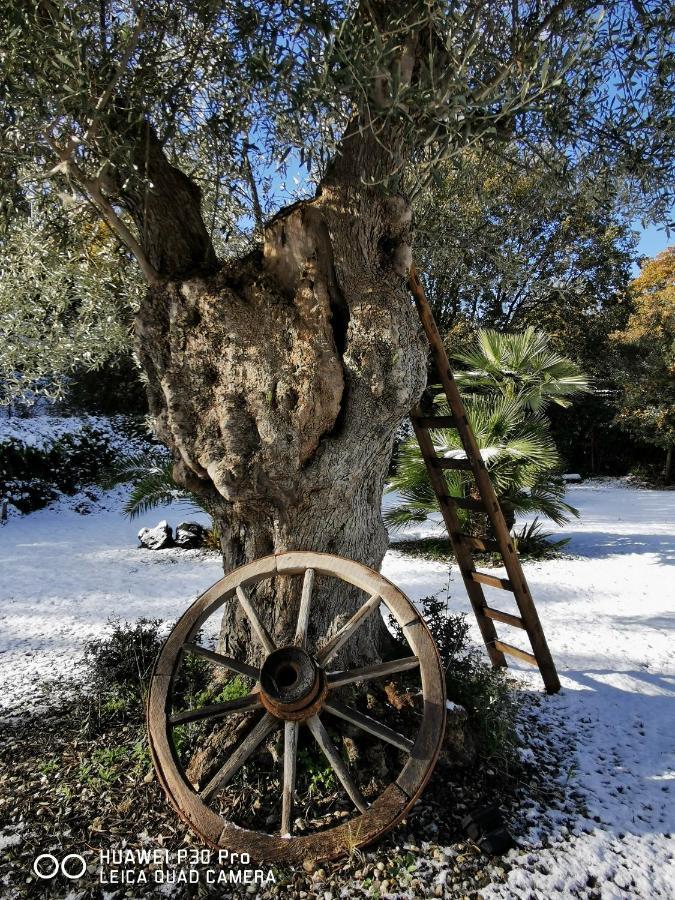 Hotel Antico Palmento Dell'Etna Pedara Exteriér fotografie